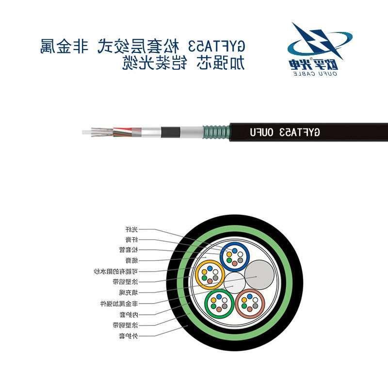 云浮市GYFTA53光缆