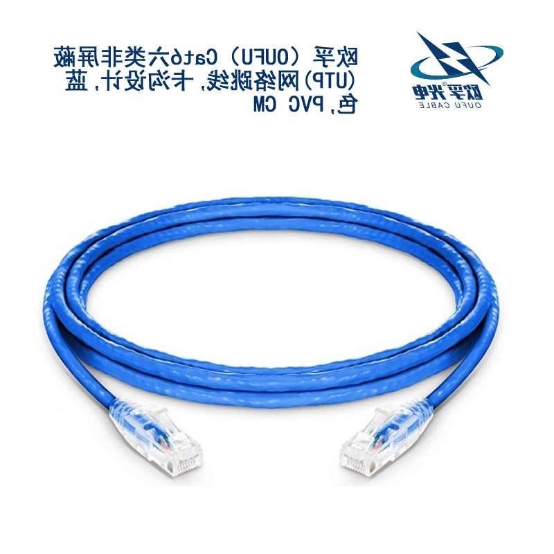 常德市​Cat6六类非屏蔽(UTP)网络跳线